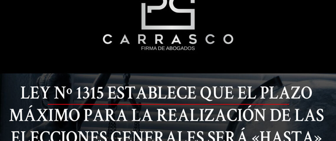 Ley-1315-Elecciones-Generales-2020